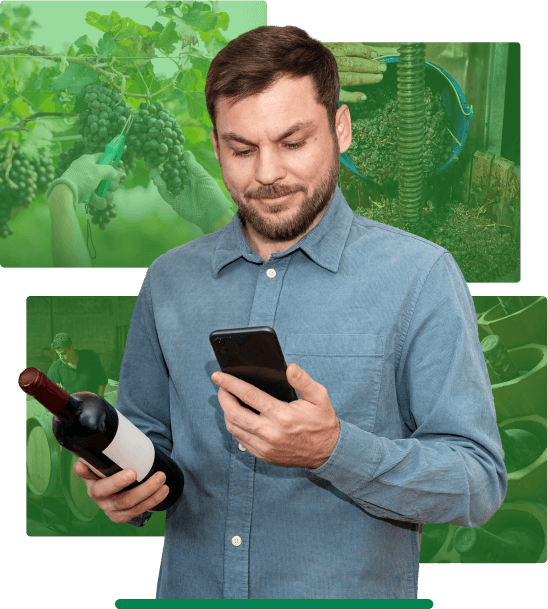 How Wine Traceability Software Works